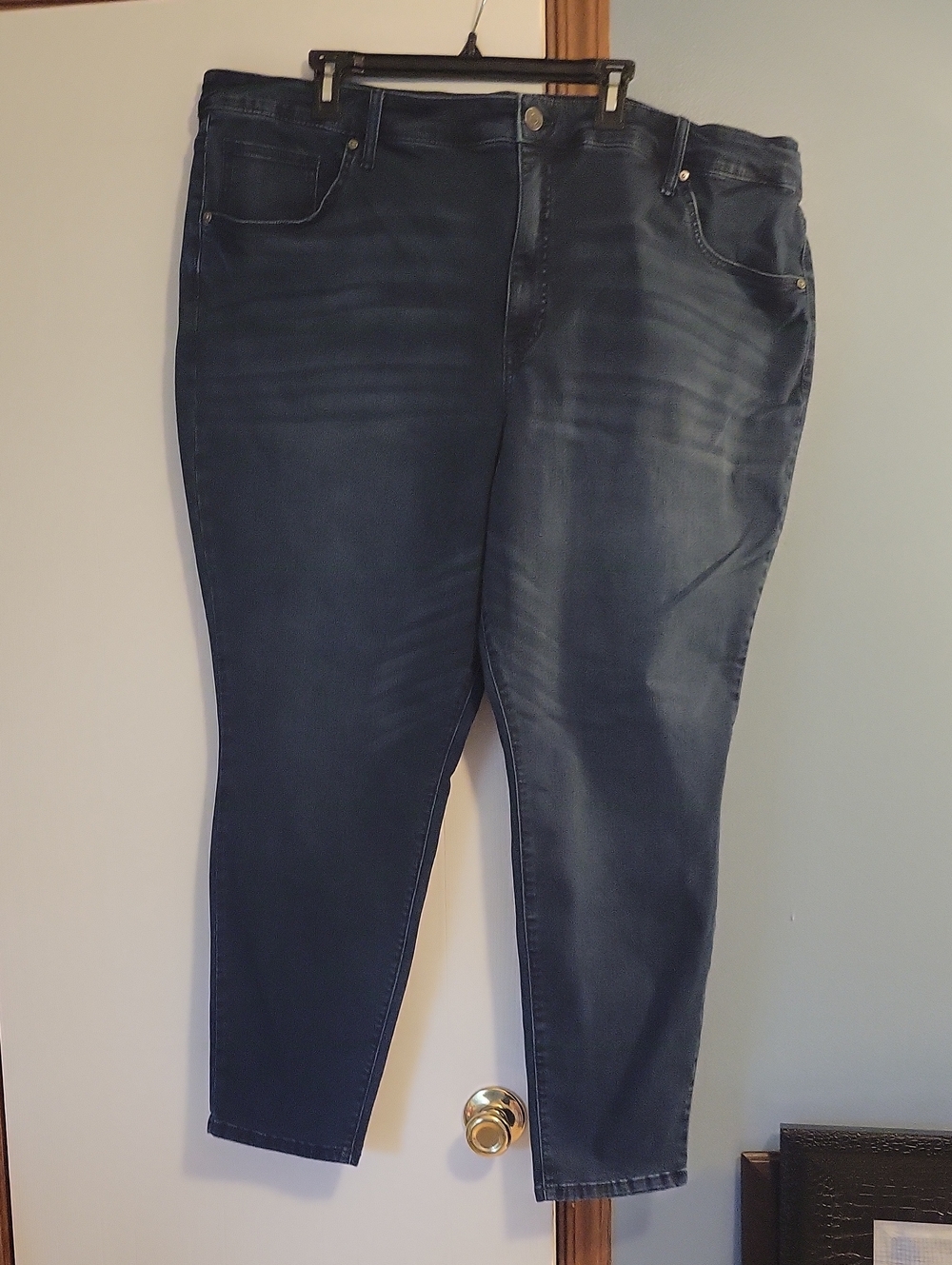 Terra & Sky Dark Blue Stretch Skinny Women's Jeans (#2) Size 26W